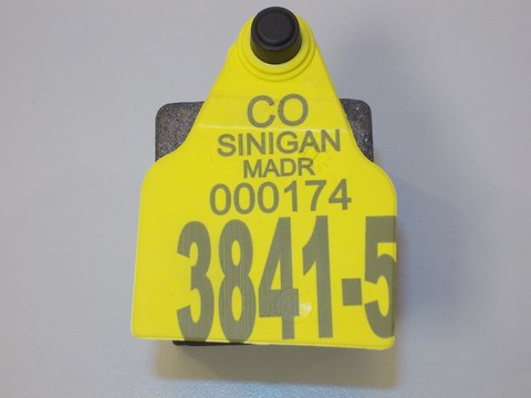 Incisioni laser su plaIncisioni laser su plastiche